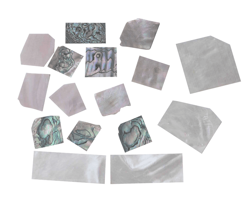 Australian Mother of Pearl Co. Pty Ltd
